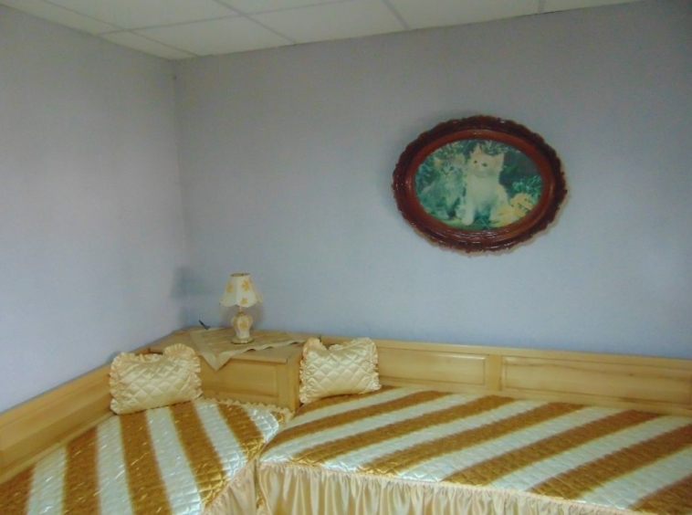 Къща в Плевен, 9-ти квартал - 100 кв.м за 700 €/кв.м - Снимка #5