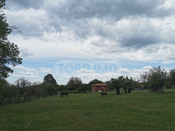 Парцел в с. Равна гора, Област Варна - 833 кв.м за 16 €/кв.м - Снимка #1