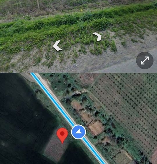 Парцел в с. Богомилово, Област Стара Загора - 1000 кв.м за 29 €/кв.м - Снимка #1