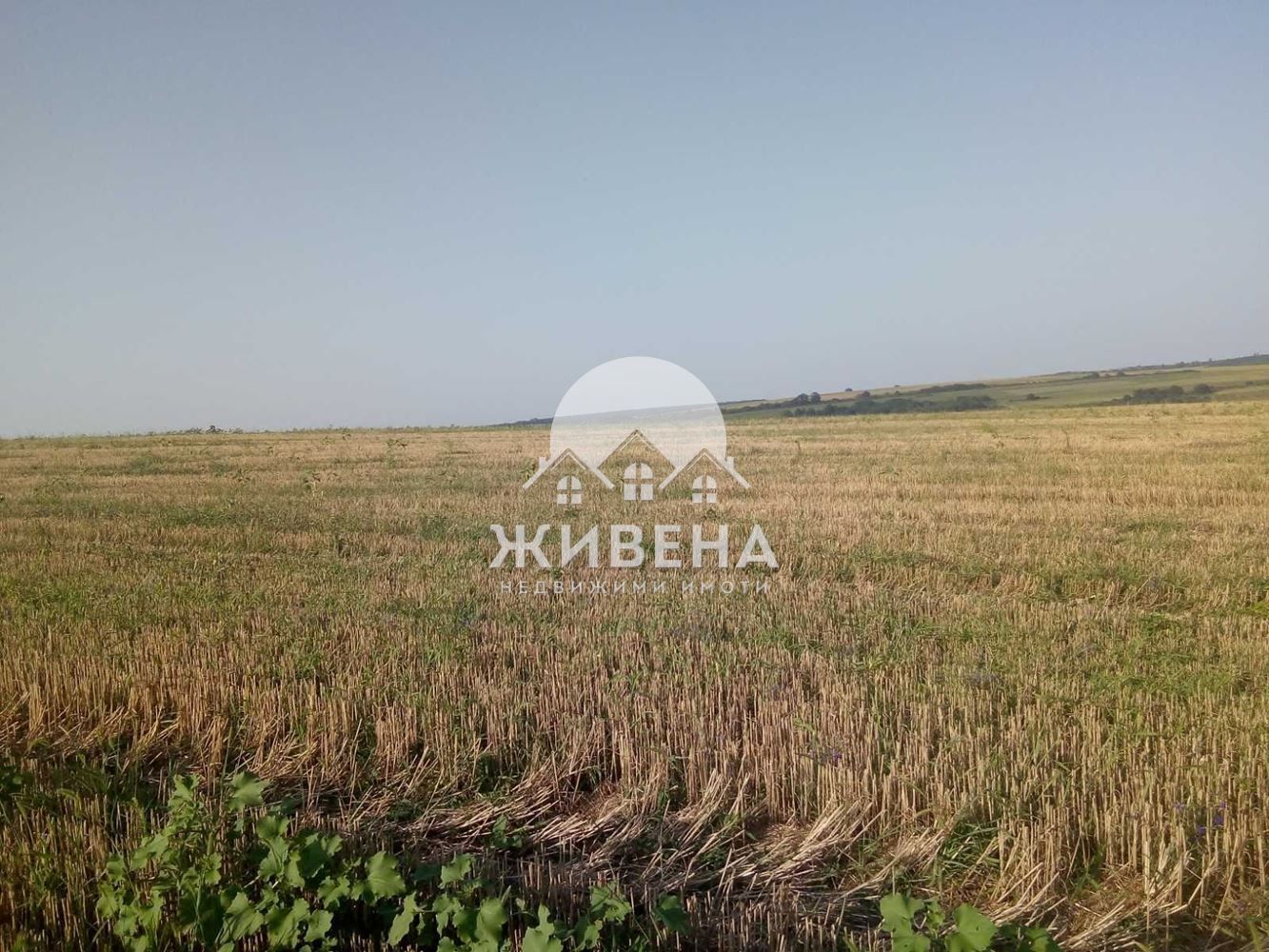 Парцел в с. Искър, Област Варна - 7000 кв.м за 3 €/кв.м - Снимка #1