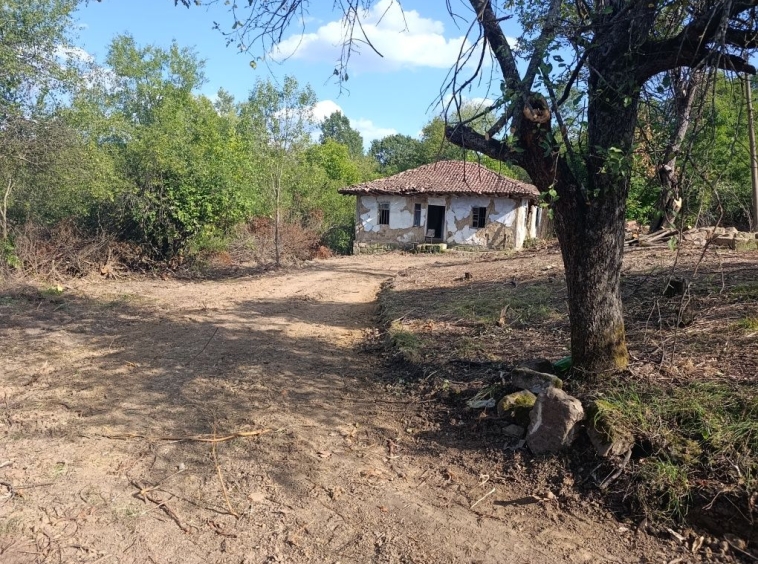 Къща в с. Палици, Област Велико Търново - 150 кв.м за 140 €/кв.м - Снимка #1