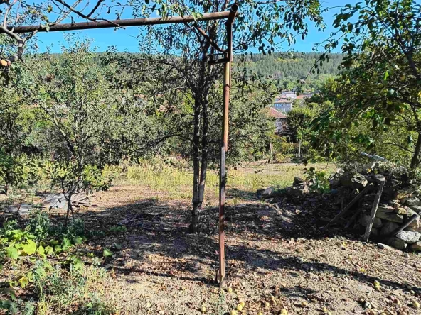 Парцел в с. Присово, Област Велико Търново - 999 кв.м за 60 €/кв.м - Снимка #1