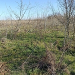 Дава се под наем Земеделски имот в с. Средец, Област Стара Загора -  кв.м за 127.5 € - Снимка #1