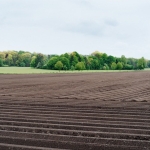 Земеделски имот в с. Генералово, Област Хасково -  кв.м за 3 €/дка - Снимка #1