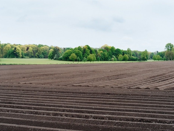 Земеделски имот в с. Генералово, Област Хасково -  кв.м за 3 €/дка - Снимка #1