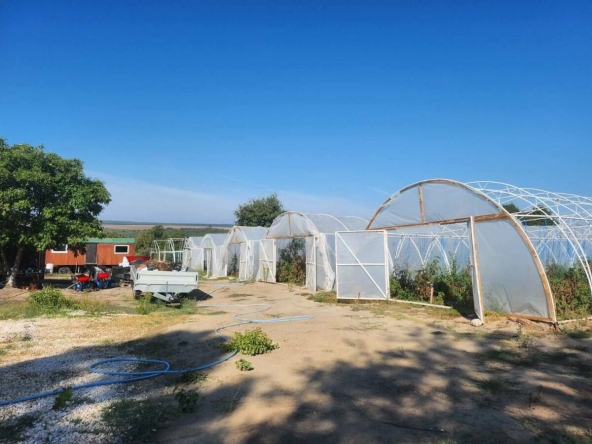 Парцел в с. Близнаци, Област Варна - 27231 кв.м за 21 €/кв.м - Снимка #1