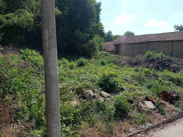 Парцел в с. Музга, Област Габрово - 800 кв.м за 14 €/кв.м - Снимка #1