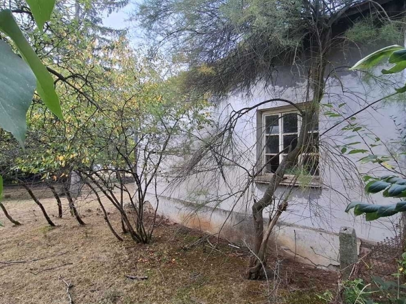 Къща в с. Василовци, Област София-област - 80 кв.м за 613 €/кв.м - Снимка #1