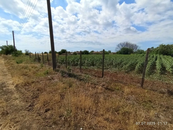 Парцел в Шабла - 712 кв.м за 20 €/кв.м - Снимка #1