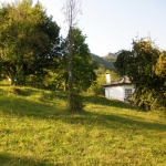 Парцел в с. Рибарица, Област Ловеч - 780 кв.м за 11 €/кв.м - Снимка #1