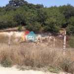 Парцел в Варна, м-т Боровец - юг - 567 кв.м за 80 €/кв.м - Снимка #1