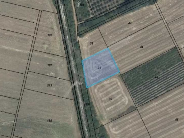 Парцел в Асеновград - 2250 кв.м за 13 €/кв.м - Снимка #1