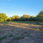 Парцел в с. Бошуля, Област Пазарджик - 3992 кв.м за 14 €/кв.м - Снимка #1