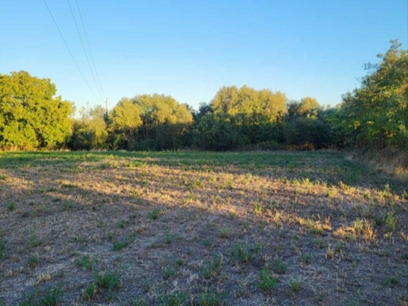 Парцел в с. Бошуля, Област Пазарджик - 3992 кв.м за 14 €/кв.м - Снимка #1