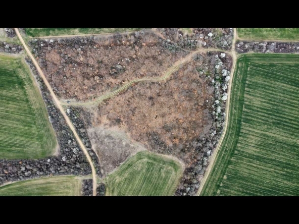 Парцел в с. Писарово, Област Плевен - 16507 кв.м за 1 €/кв.м - Снимка #1