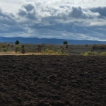 Земеделски имот в Варна, Автогара -  кв.м за 1219 €/дка - Снимка #1