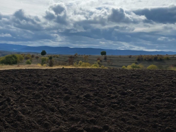 Земеделски имот в Варна, Автогара -  кв.м за 1219 €/дка - Снимка #1