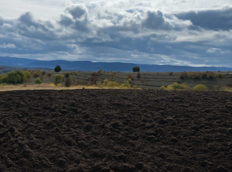 Земеделски имот в Варна, Автогара -  кв.м за 1219 €/дка - Снимка #1