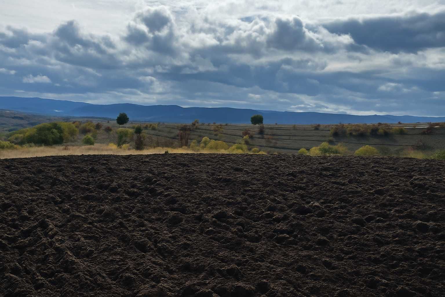 Земеделски имот в Варна, Автогара -  кв.м за 1219 €/дка - Снимка #1