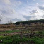 Парцел в Смядово - 1906 кв.м за 10 €/кв.м - Снимка #1