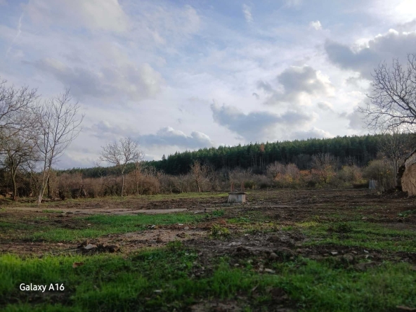 Парцел в Смядово - 1906 кв.м за 10 €/кв.м - Снимка #1