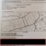 Земеделски имот в Кула -  кв.м за 850 €/дка - Снимка #1