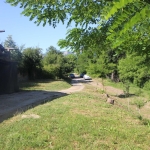 Парцел в с. Драгановци, Област Габрово - 663 кв.м за 4 €/кв.м - Снимка #1