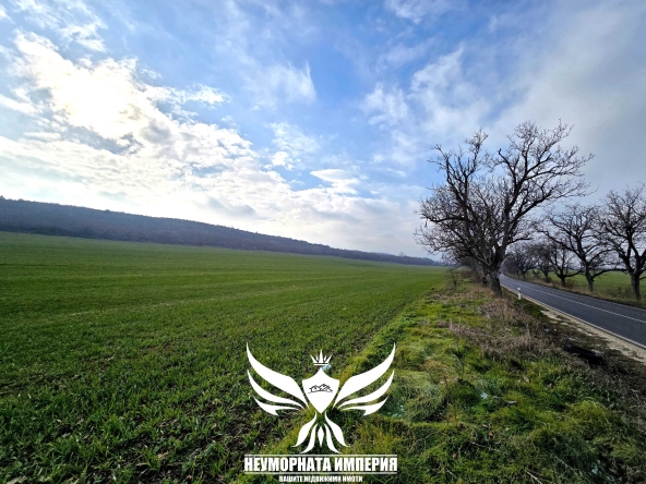 Парцел в Асеновград - 4800 кв.м за 7 €/кв.м - Снимка #1