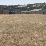 Парцел в с. Черногорово, Област Пазарджик - 12000 кв.м за 16 €/кв.м - Снимка #1