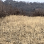 Парцел в Силистра, Меджиди Табия - 1040 кв.м за 19 €/кв.м - Снимка #1