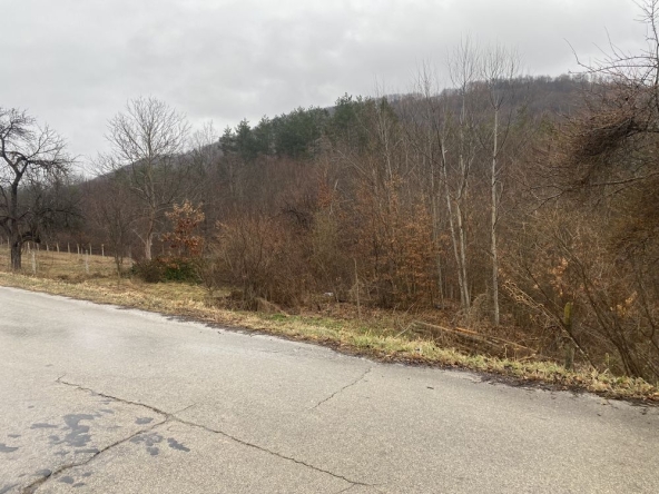 Земеделски имот в Троян -  кв.м за 2550 €/дка - Снимка #1