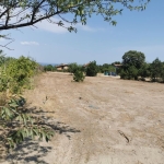 Парцел в Варна, Виница - 765 кв.м за 73 €/кв.м - Снимка #1