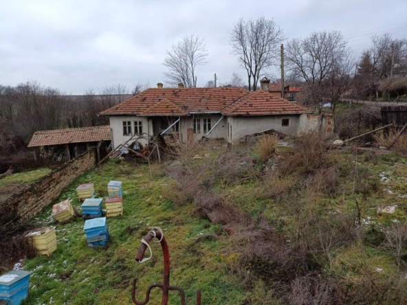 Къща в Силистра, Център - 3000 кв.м за 4 €/кв.м - Снимка #1