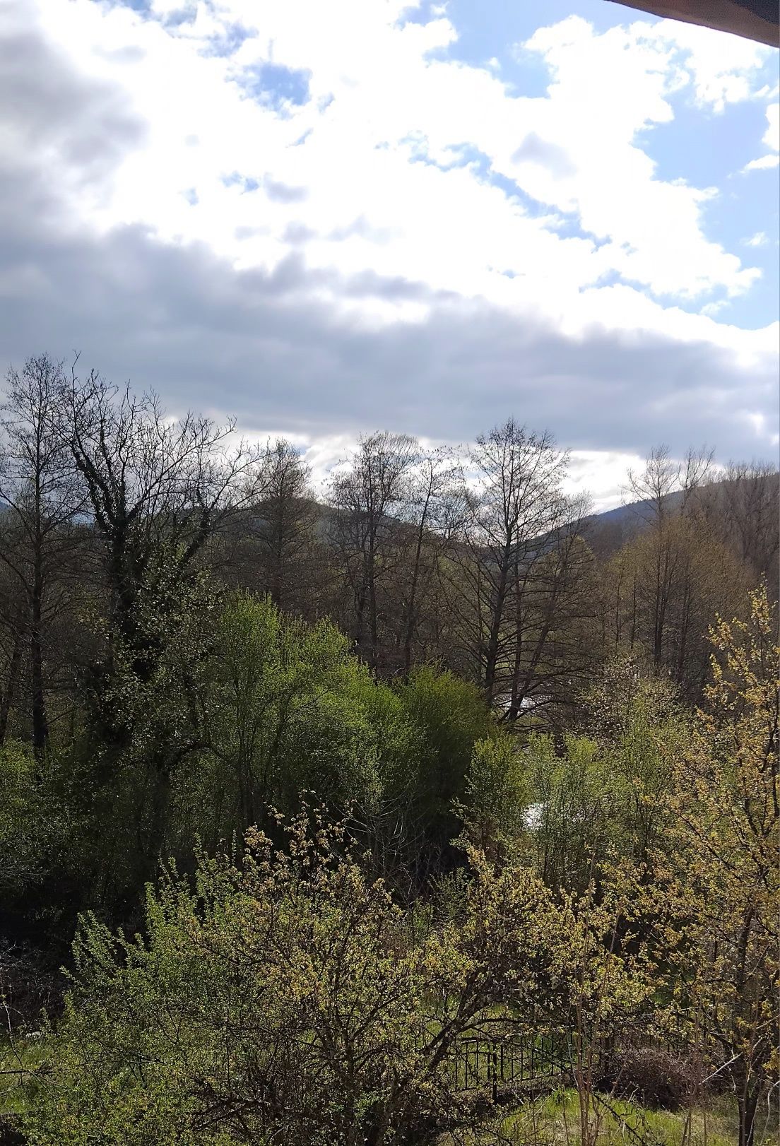 Земеделски имот в с. Мазарачево, Област Кюстендил -  кв.м за 1148 €/дка - Снимка #1