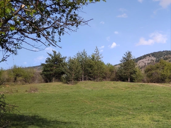 Парцел в с. Бистрица, Област Кюстендил - 3000 кв.м за 10 €/кв.м - Снимка #1