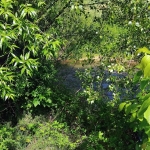 Парцел в Благоевград, Струмско - 1000 кв.м за 23 €/кв.м - Снимка #1