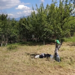 Парцел в с. Шатрово, Област Кюстендил - 970 кв.м за 13 €/кв.м - Снимка #1