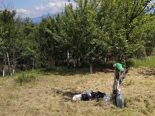 Парцел в с. Шатрово, Област Кюстендил - 970 кв.м за 13 €/кв.м - Снимка #1