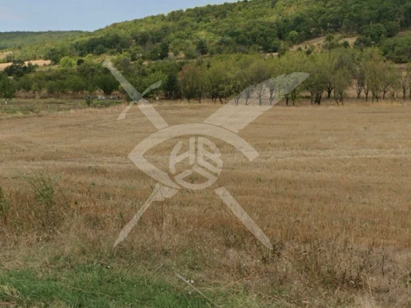 Земеделски имот в с. Преображенци, Област Бургас -  кв.м за 510 €/дка - Снимка #1