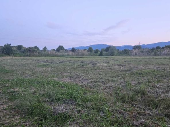 Земеделски имот в с. Жабокрът, Област Кюстендил -  кв.м за 1692 €/дка - Снимка #1