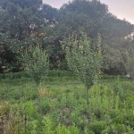 Земеделски имот в с. Жабокрът, Област Кюстендил -  кв.м за 2890 €/дка - Снимка #1