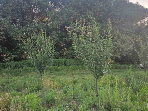 Земеделски имот в с. Жабокрът, Област Кюстендил -  кв.м за 2890 €/дка - Снимка #1