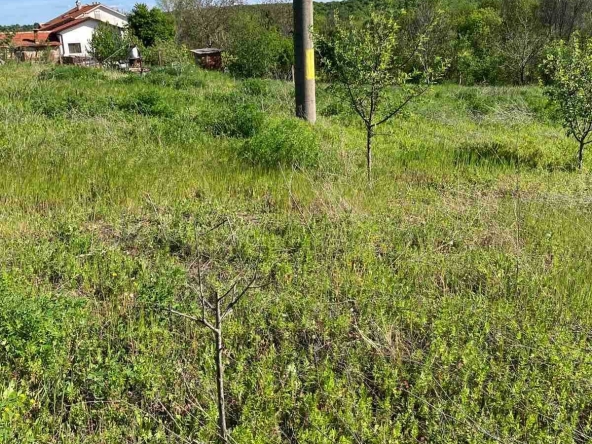 Парцел в с. Стамболийски, Област Хасково - 2213 кв.м за 9 €/кв.м - Снимка #1