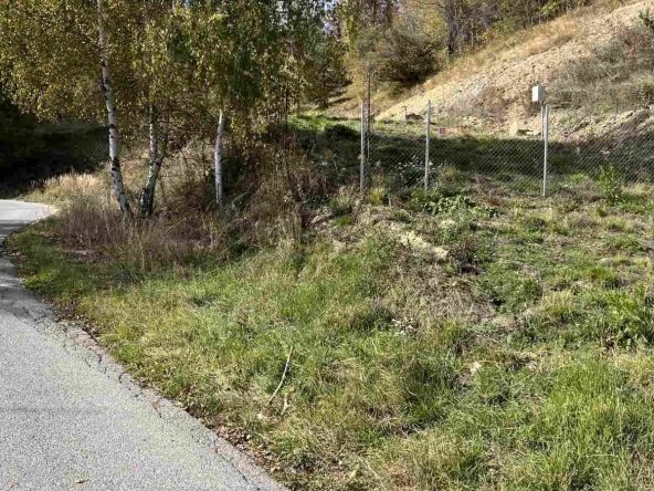 Парцел в Кюстендил, в.з. Юг - 1000 кв.м за 22 €/кв.м - Снимка #1