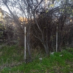 Парцел в Сапарева баня - 550 кв.м за 102 €/кв.м - Снимка #1