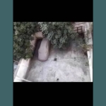 Дава се под наем Гараж / Паркомясто в Бургас, Център - 200 кв.м за 79.56 € - Снимка #1