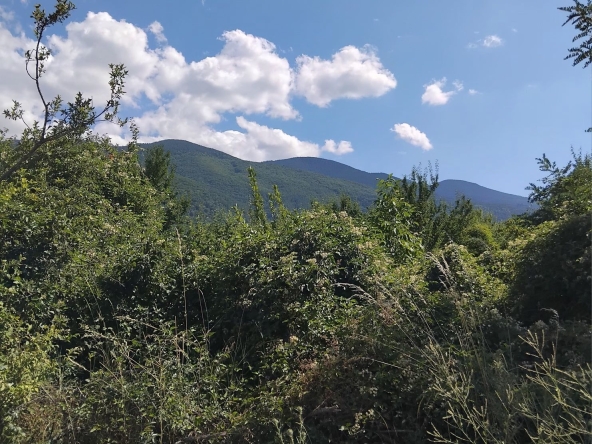 Парцел в Сапарева баня - 3150 кв.м за 57 €/кв.м - Снимка #1