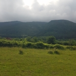 Парцел в Сапарева баня - 2500 кв.м за 6 €/кв.м - Снимка #1