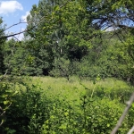 Парцел в Сапарева баня - 850 кв.м за 54 €/кв.м - Снимка #1