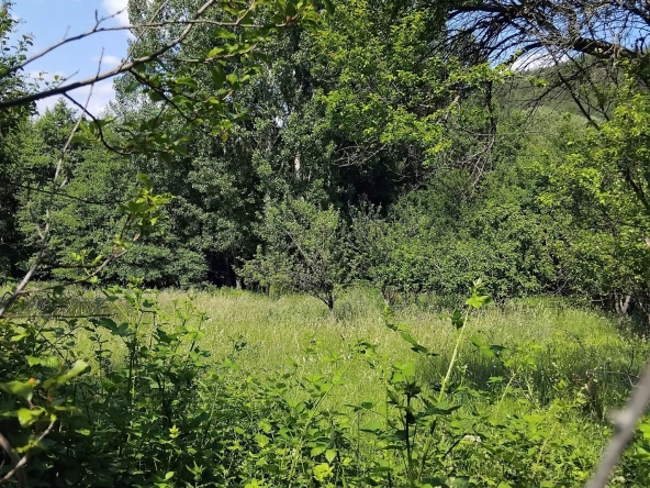 Парцел в Сапарева баня - 850 кв.м за 54 €/кв.м - Снимка #1